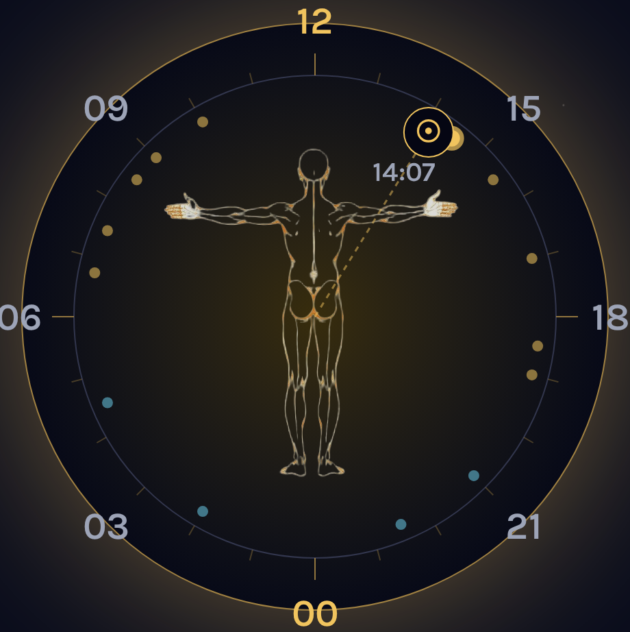 Chronobiology